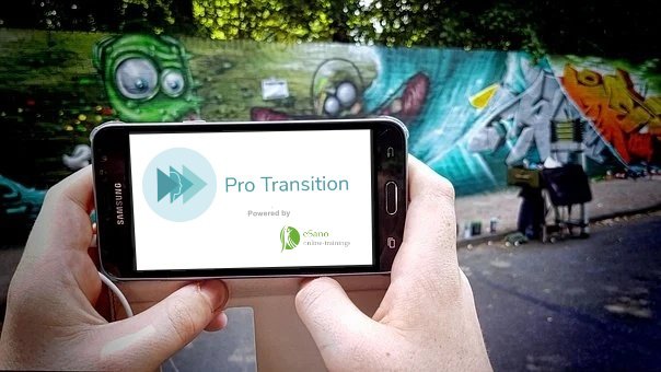 protransition-cutout.jpg