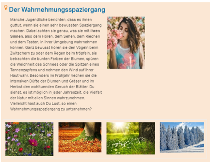 Wahrnehmungsspaziergang.png